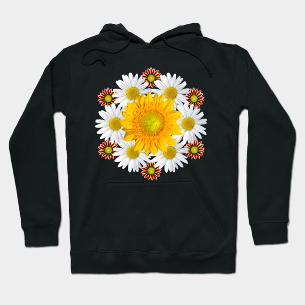 sunflower gazania daisies flower daisy blossom Hoodie by rh_naturestyles